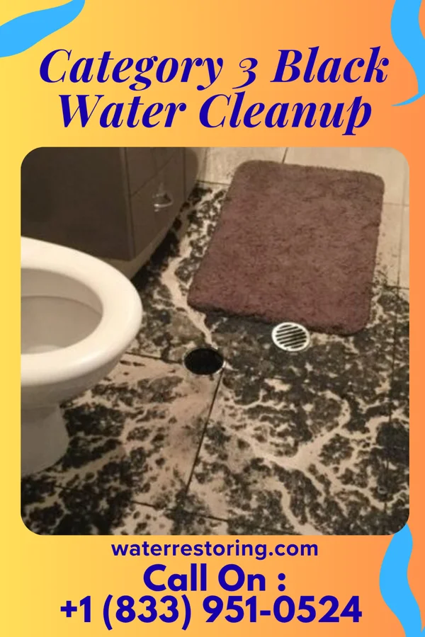 Category 3 Black Water Cleanup in Rockdale, WI