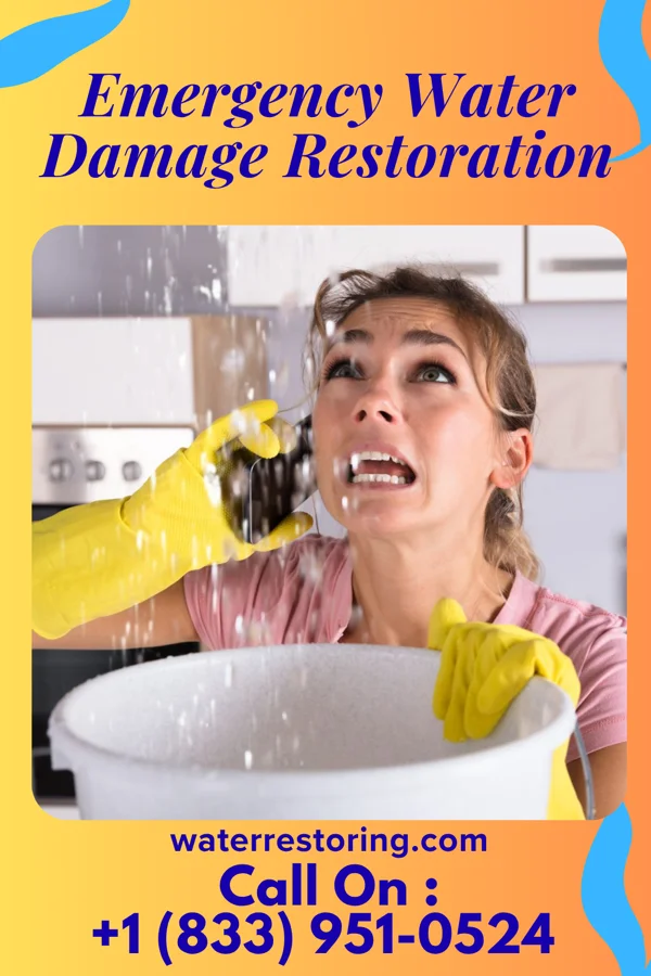 Emergency Water Damage Restoration in Rockdale, WI