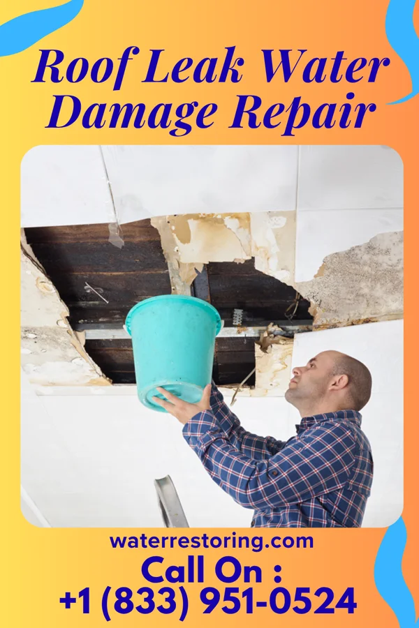 Roof Leak Water Damage Repair in Rockdale, WI